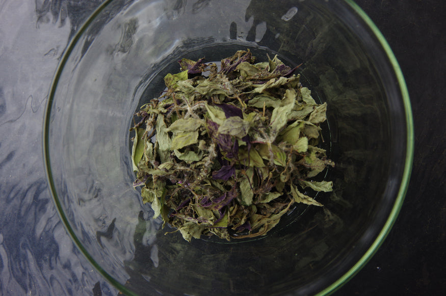 SUIGEN TEA-Holy Basil Tea