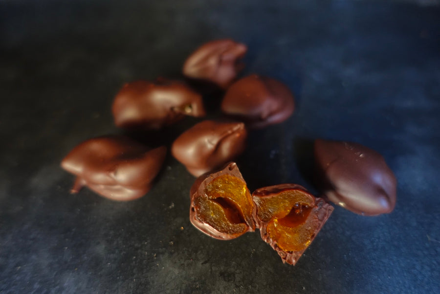 Citrus Peel Chocolate “Kumkan”