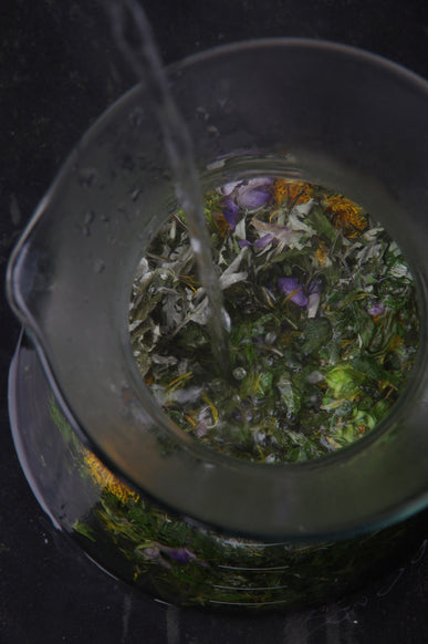 SUIGEN TEA - wild herbal tea